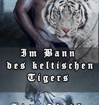 Im Bann des keltischen Tigers